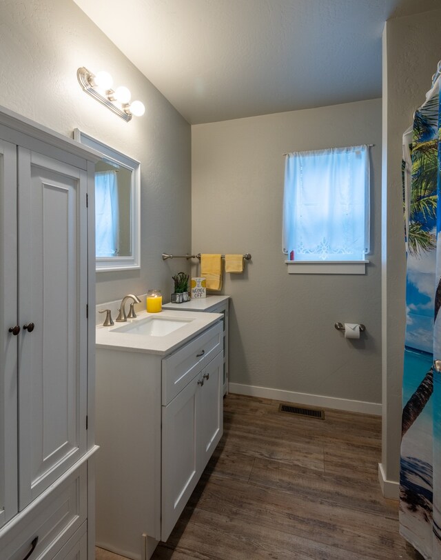 bathroom featuring a healthy amount of sunlight, wood-type flooring, and vanity