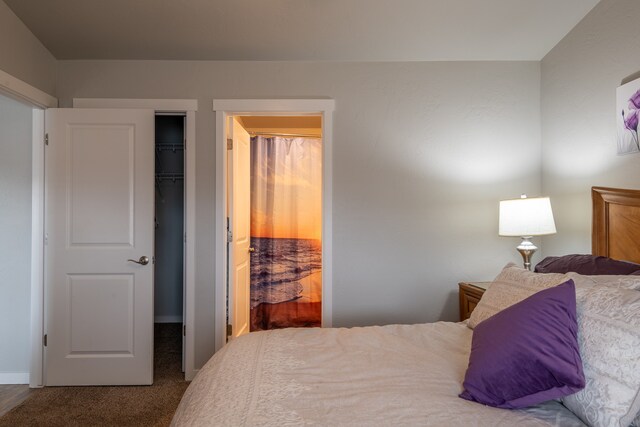 bedroom with carpet flooring, a closet, and a spacious closet