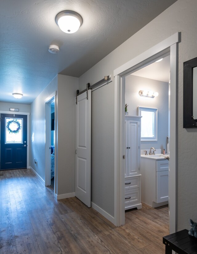 interior space featuring wood-type flooring, sink, a barn door, and plenty of natural light