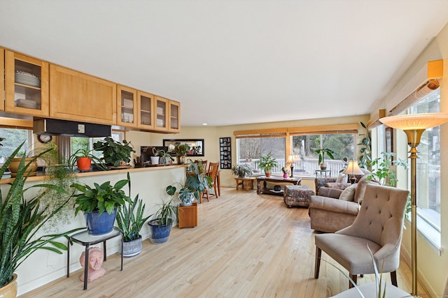 living room featuring light hardwood / wood-style floors