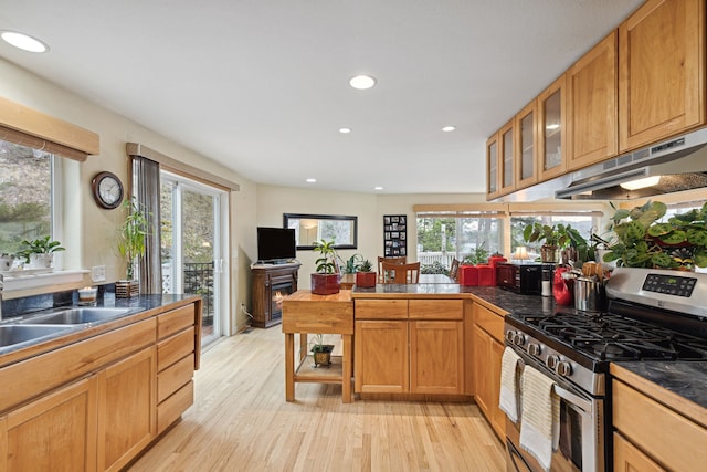 kitchen with light hardwood / wood-style flooring, extractor fan, a wealth of natural light, and stainless steel gas range