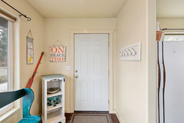 entryway featuring baseboards, wood finished floors, and a healthy amount of sunlight