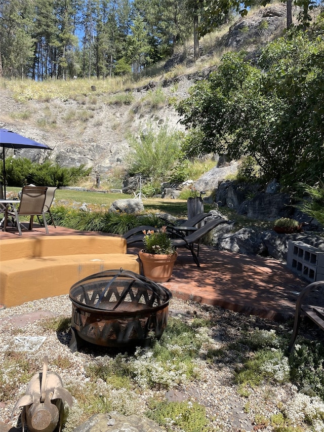 view of yard featuring a patio and an outdoor fire pit