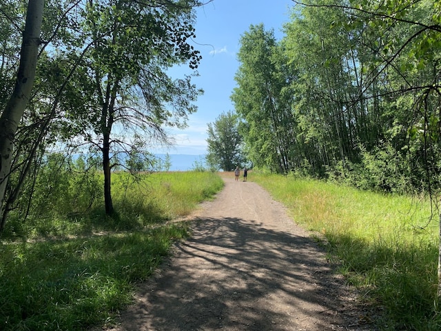view of road