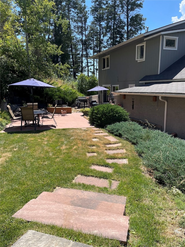 view of yard featuring a patio