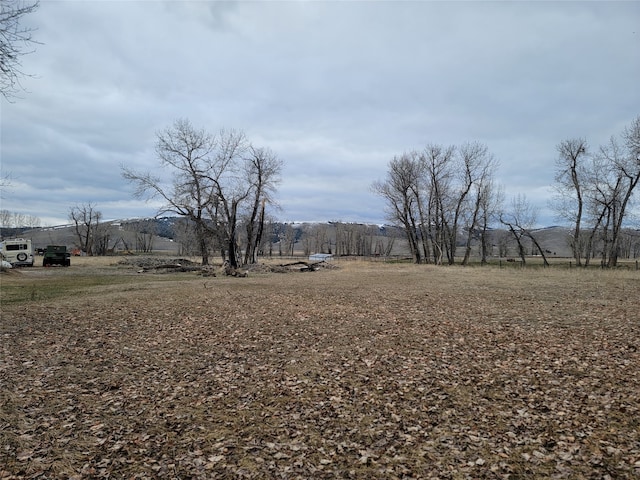 view of yard featuring a rural view