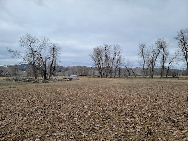 view of yard with a rural view