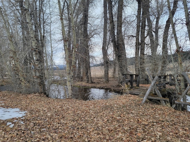 view of yard featuring a water view