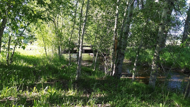 view of landscape featuring a water view