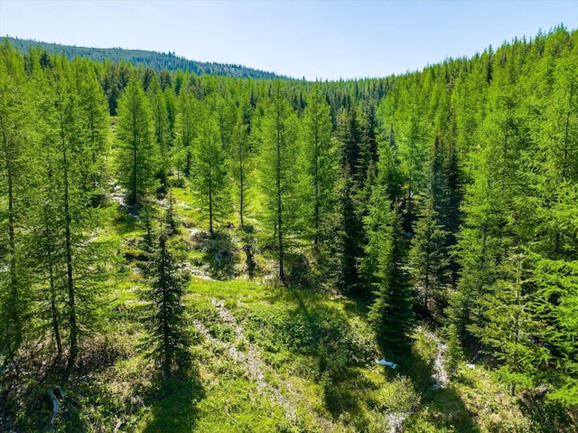 NHN Griffin Creek Rd, Marion, MT 59925