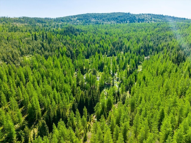 NHN Griffin Creek Rd, Marion, MT 59925