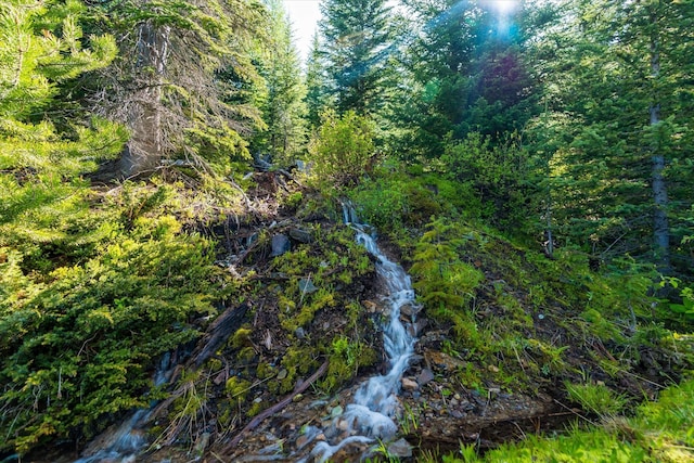 NHN Griffin Creek Rd, Marion, MT 59925