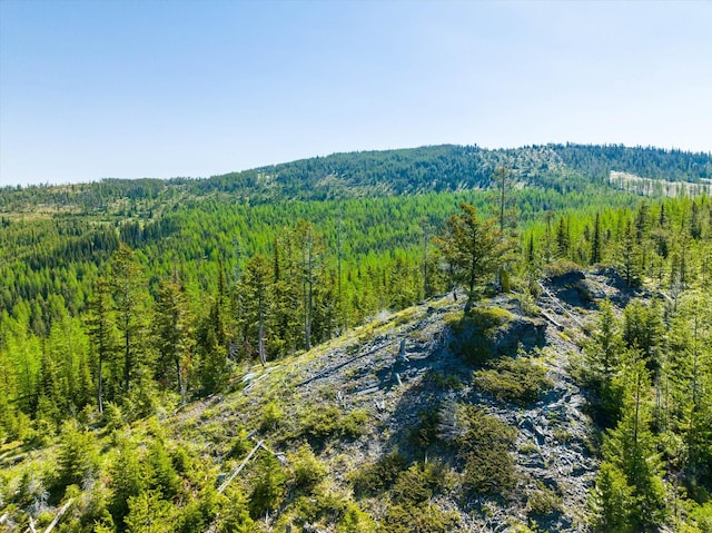 NHN Griffin Creek Rd, Marion, MT 59925