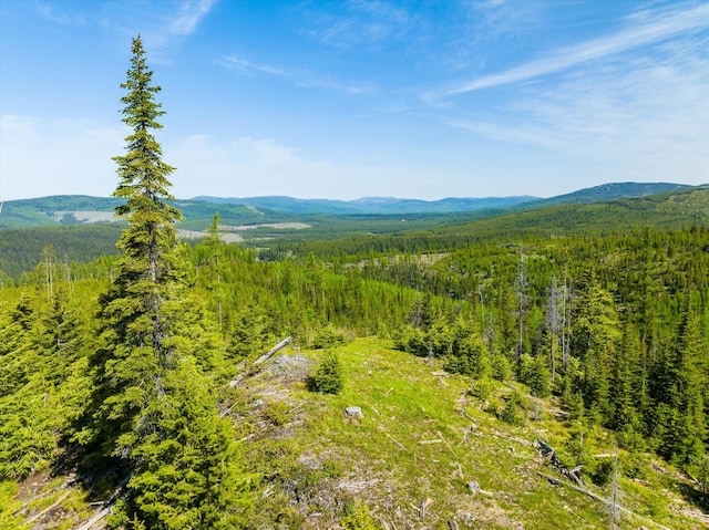 NHN Griffin Creek Rd, Marion, MT 59925
