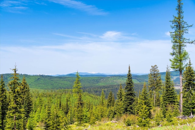 NHN Griffin Creek Rd, Marion, MT 59925