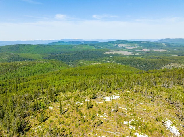 NHN Griffin Creek Rd, Marion, MT 59925