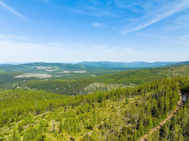 NHN Griffin Creek Rd, Marion, MT 59925