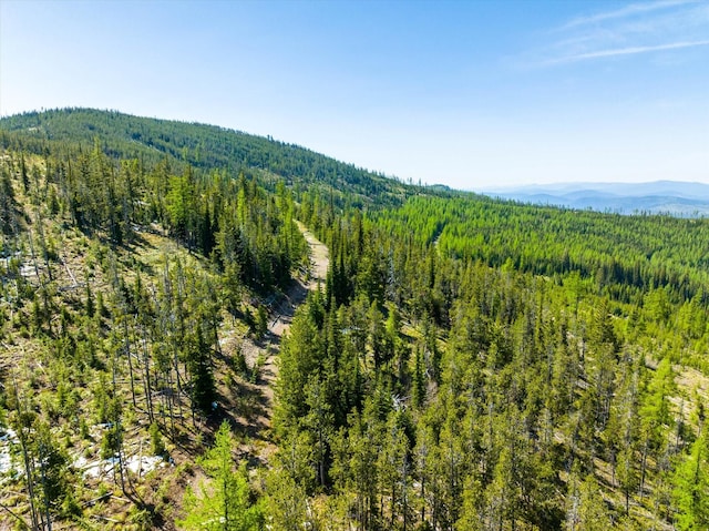 NHN Griffin Creek Rd, Marion, MT 59925