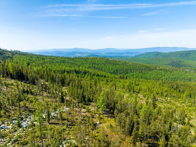 NHN Griffin Creek Rd, Marion, MT 59925