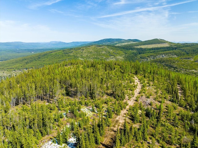 NHN Griffin Creek Rd, Marion, MT 59925