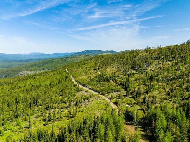 NHN Griffin Creek Rd, Marion, MT 59925