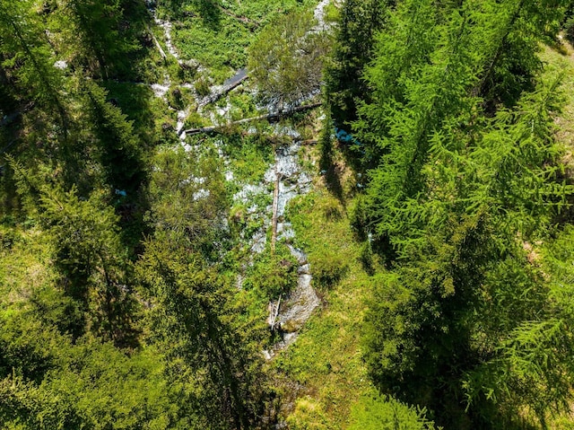 NHN Griffin Creek Rd, Marion, MT 59925