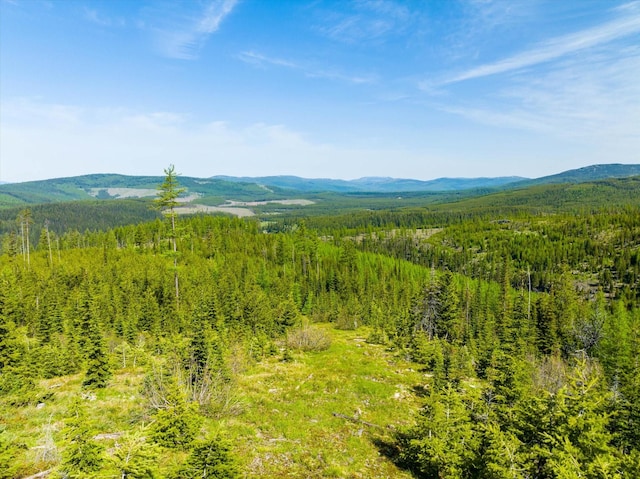 NHN Griffin Creek Rd, Marion, MT 59925