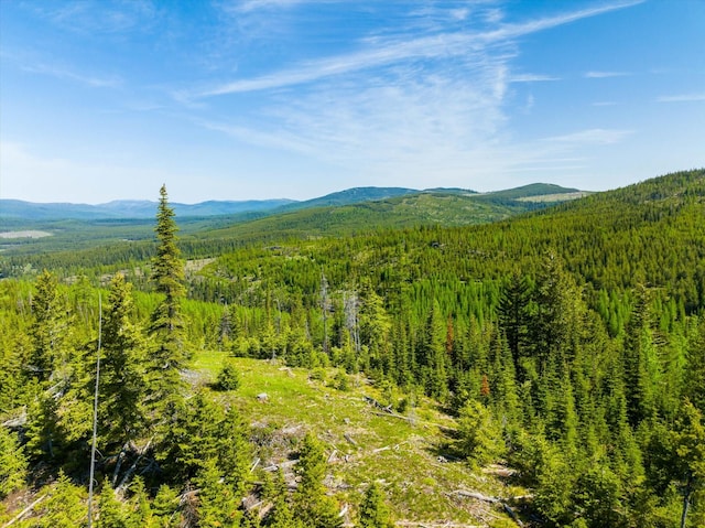 NHN Griffin Creek Rd, Marion, MT 59925
