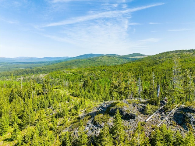 NHN Griffin Creek Rd, Marion, MT 59925