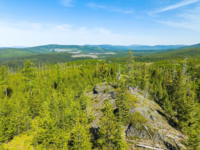 NHN Griffin Creek Rd, Marion, MT 59925