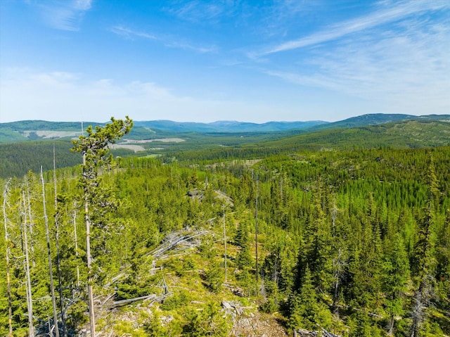 NHN Griffin Creek Rd, Marion, MT 59925