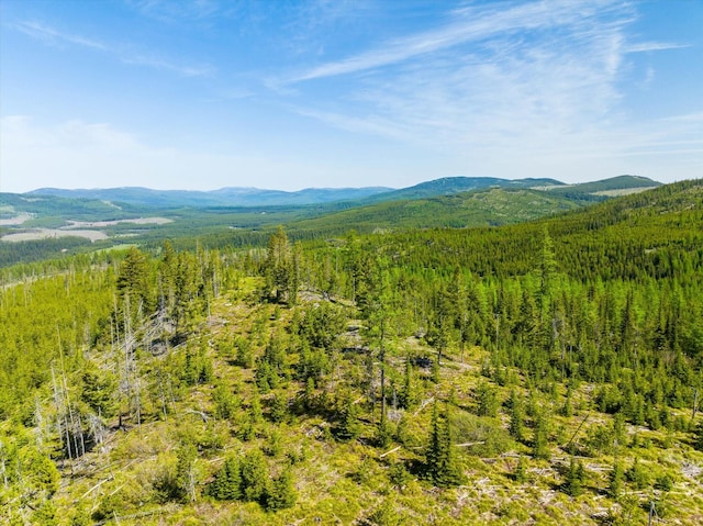 NHN Griffin Creek Rd, Marion, MT 59925