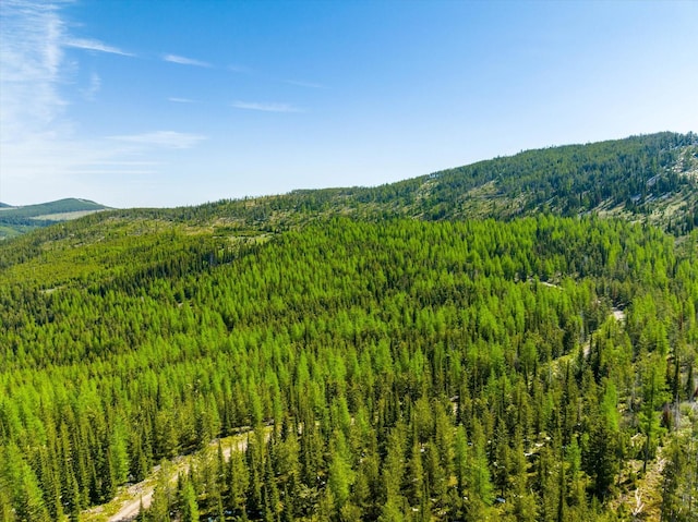 NHN Griffin Creek Rd, Marion, MT 59925