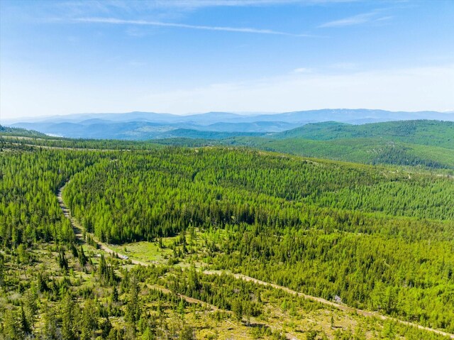 NHN Griffin Creek Rd, Marion, MT 59925