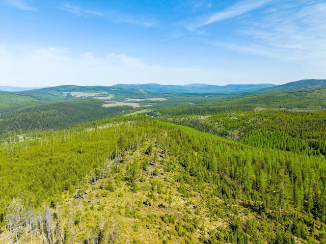 NHN Griffin Creek Rd, Marion, MT 59925