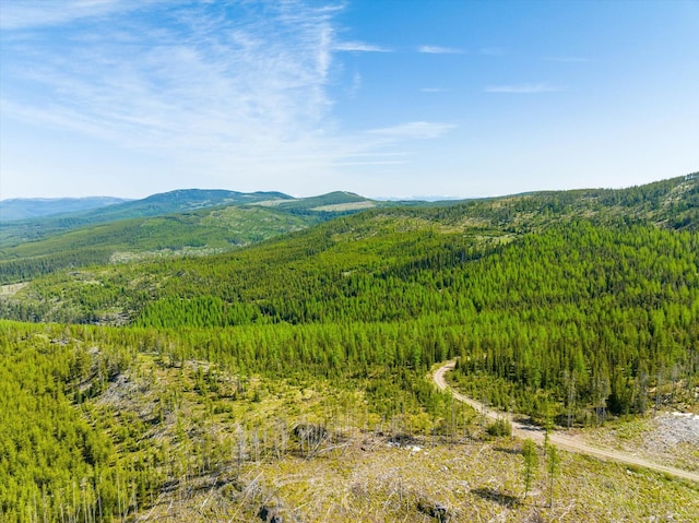 NHN Griffin Creek Rd, Marion, MT 59925