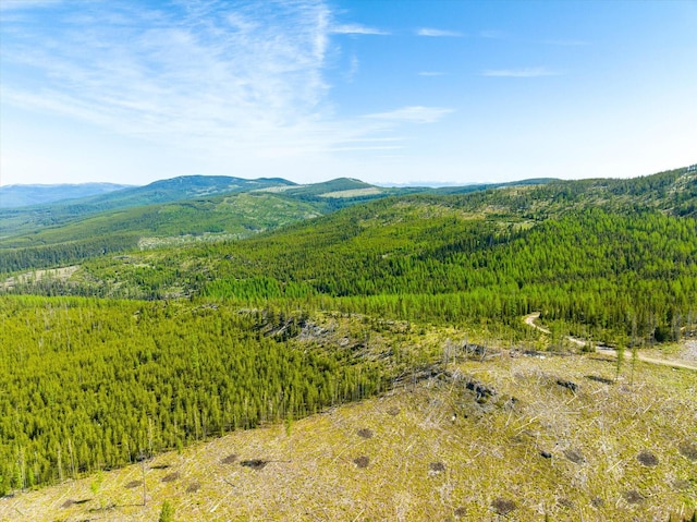 NHN Griffin Creek Rd, Marion, MT 59925