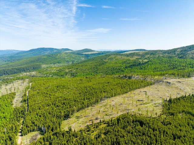 NHN Griffin Creek Rd, Marion, MT 59925