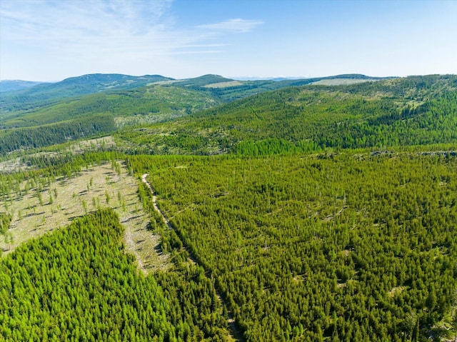 NHN Griffin Creek Rd, Marion, MT 59925