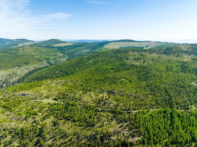 NHN Griffin Creek Rd, Marion, MT 59925