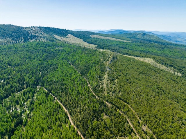 NHN Griffin Creek Rd, Marion, MT 59925