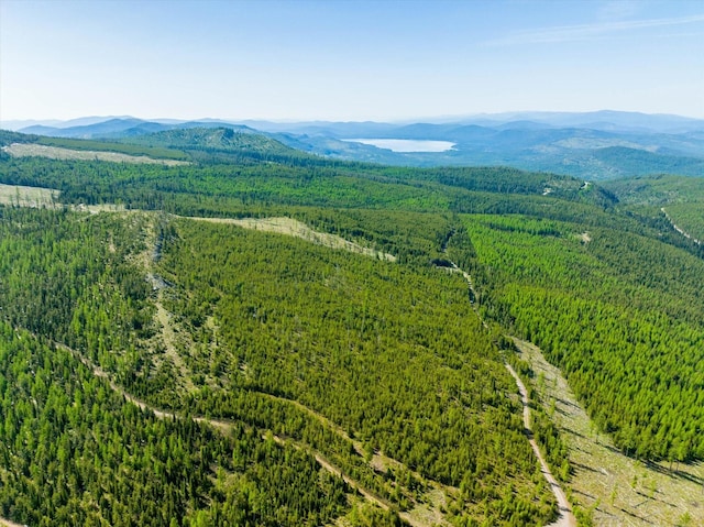 NHN Griffin Creek Rd, Marion, MT 59925