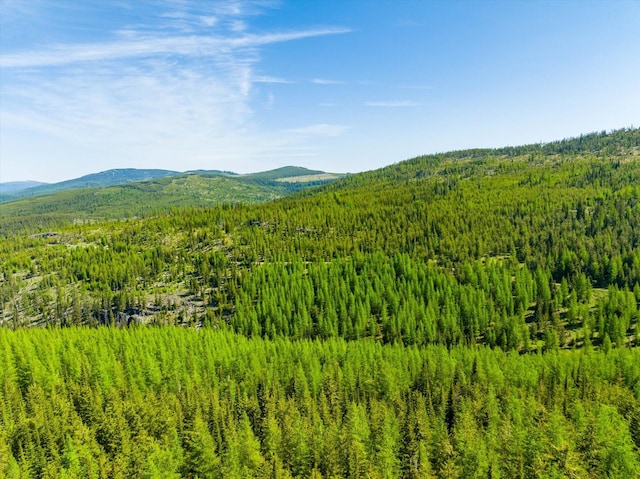 NHN Griffin Creek Rd, Marion, MT 59925