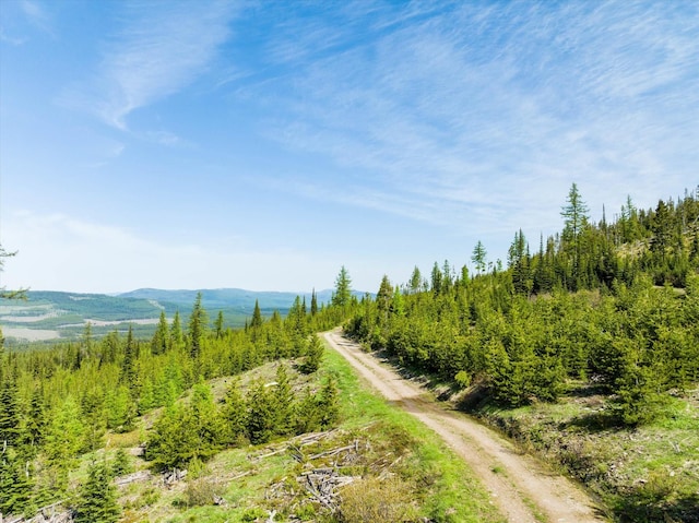 NHN Griffin Creek Rd, Marion, MT 59925