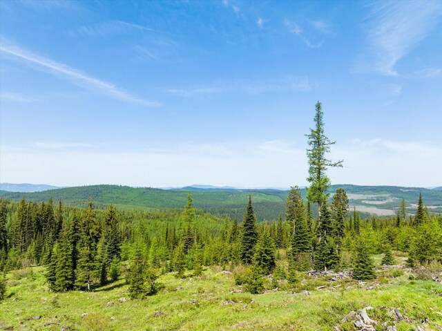 NHN Griffin Creek Rd, Marion, MT 59925