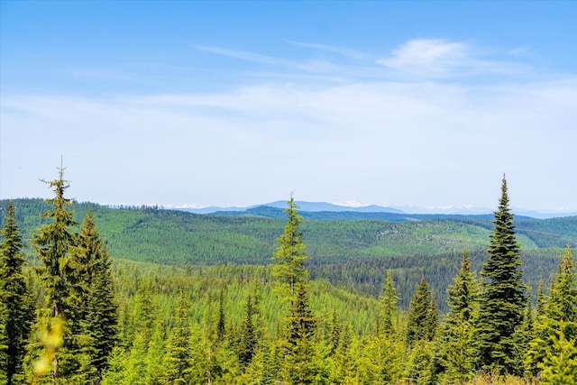 NHN Griffin Creek Rd, Marion, MT 59925