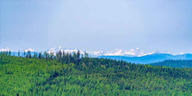 NHN Griffin Creek Rd, Marion, MT 59925
