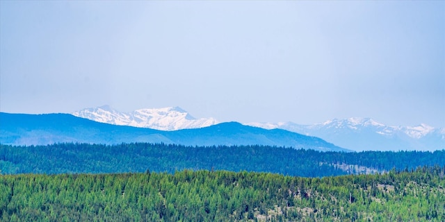 NHN Griffin Creek Rd, Marion, MT 59925