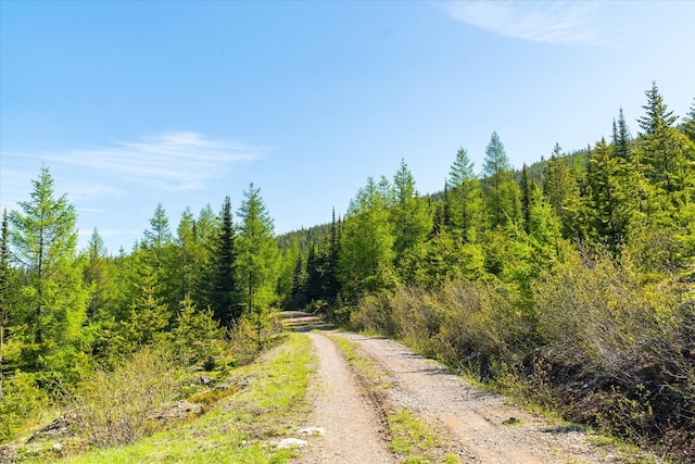 NHN Griffin Creek Rd, Marion, MT 59925