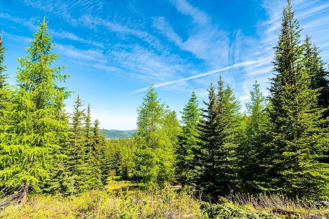 NHN Griffin Creek Rd, Marion, MT 59925